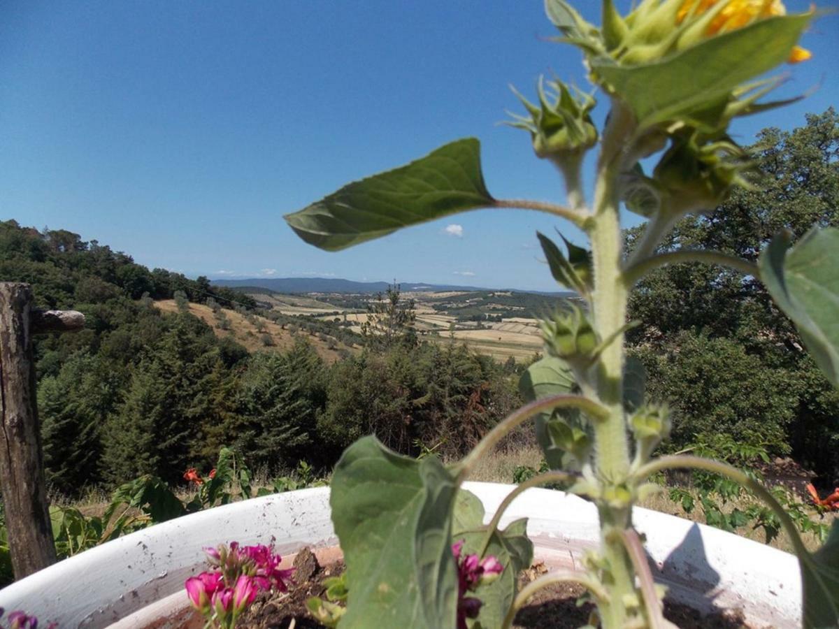 Panorama-Ferien-Toscana Your Cozy And Fully Equipped Vacation Home Massa Marittima Kültér fotó